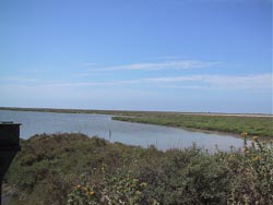 French Culture Homestay Program - La Camargue